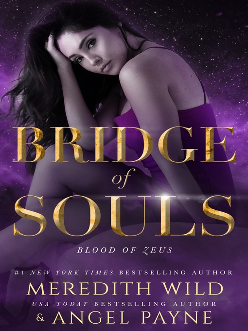 Title details for Bridge of Souls by Meredith Wild - Available